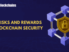 Understanding the Risks and Rewards of Blockchain Security