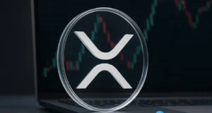 start of a rally or a dead-cat bounce?