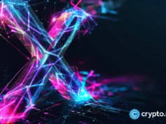 Is crypto coming to X Money? Elon Musk responds after first images appear