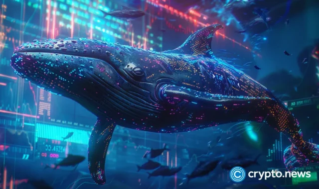 crypto-news-whale-option01.webp.webp
