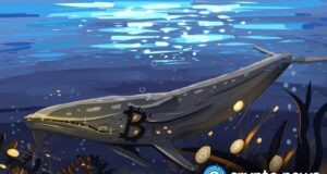 Bitcoin bottom or bull trap? Whales and bears disagree