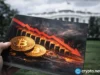 Did SpaceX IPO fever trigger Bitcoin’s sharp drop this week?