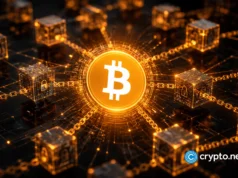 Bitcoin policy group joins U.S. State Department freedom tech push
