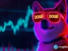 Dogecoin price nears key liquidation zone after $14M whale buy