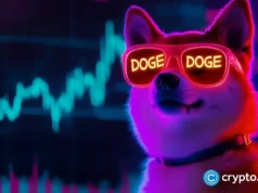Dogecoin price nears key liquidation zone after $14M whale buy