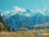 Bitget secures New Zealand registration to expand tokenized stock services