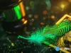 Robinhood Chain threatens Base as daily transactions surge to 7.6 million