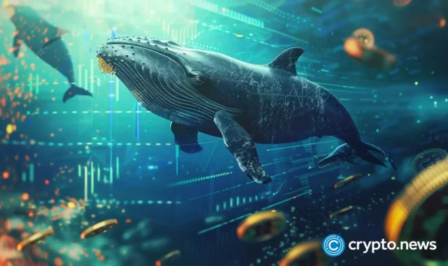 crypto-news-whale-option04.webp