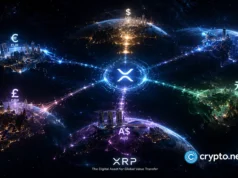 Bitwise XRP ETF sees reported $3.58M redemption