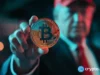 Trump crypto ventures left investors $4.7B underwater: report