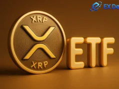 XRP ETF sees $3.58 million outflow and price plunge; how XRP holders can earn $7,000 daily