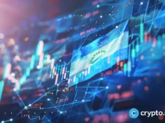 Argentina commits to OECD crypto tax reporting framework by 2029
