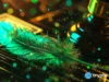 Arbitrum co-founder defends Robinhood’s 90% fee share