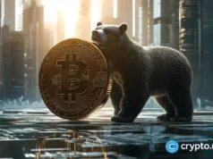 Will Bitcoin price crash again as it falls below $80,000?